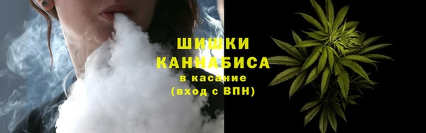 соль ск Абаза