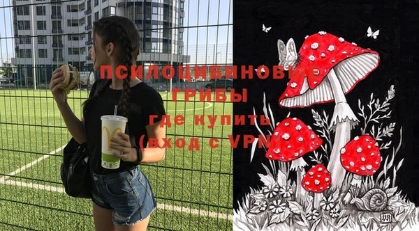 соль ск Абаза