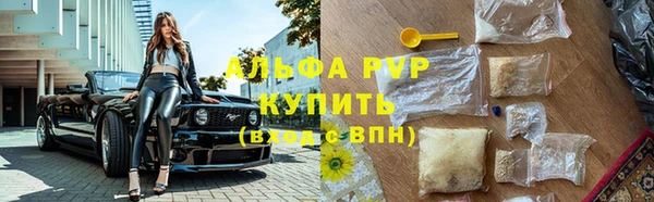 соль ск Абаза