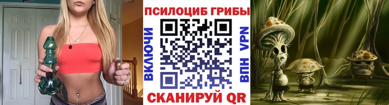 OMG как зайти  наркотики  Усть-Катав  Галлюциногенные грибы MAGIC MUSHROOMS 